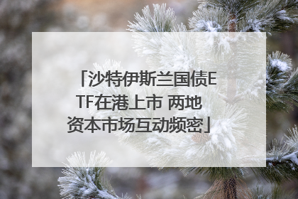 沙特伊斯兰国债ETF在港上市 两地资本市场互动频密