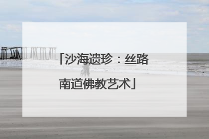 沙海遗珍：丝路南道佛教艺术