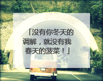 没有你冬天的调解，就没有我春天的菠菜！