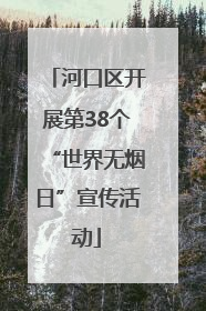 河口区开展第38个“世界无烟日”宣传活动