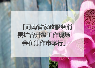 河南省家政服务消费扩容升级工作现场会在焦作市举行