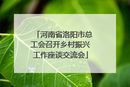 河南省洛阳市总工会召开乡村振兴工作座谈交流会