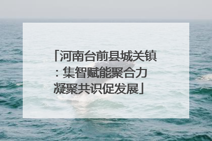 河南台前县城关镇：集智赋能聚合力 凝聚共识促发展
