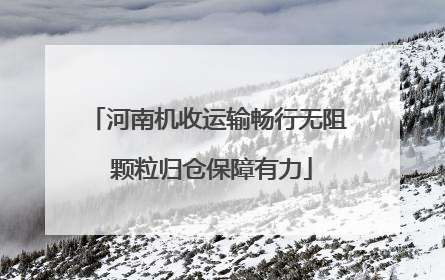 河南机收运输畅行无阻 颗粒归仓保障有力