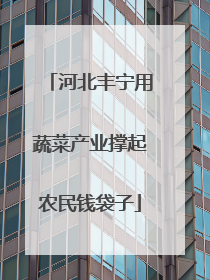 河北丰宁用蔬菜产业撑起农民钱袋子