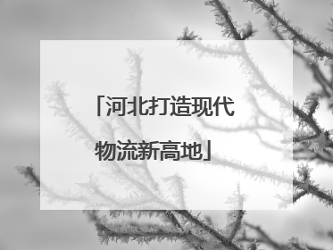 河北打造现代物流新高地