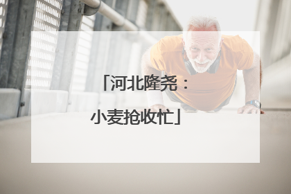 河北隆尧：小麦抢收忙