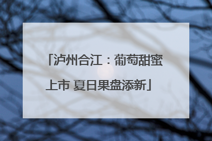 泸州合江：葡萄甜蜜上市 夏日果盘添新