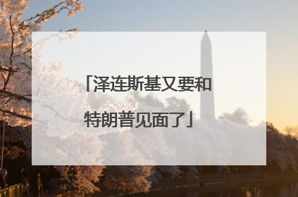 泽连斯基又要和特朗普见面了