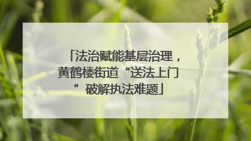 法治赋能基层治理，黄鹤楼街道“送法上门”破解执法难题