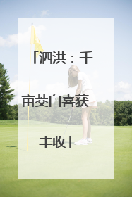 泗洪：千亩茭白喜获丰收