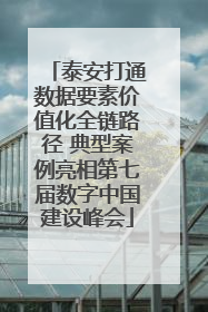 泰安打通数据要素价值化全链路径 典型案例亮相第七届数字中国建设峰会