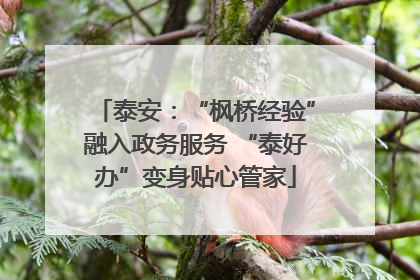 泰安：“枫桥经验”融入政务服务 “泰好办”变身贴心管家