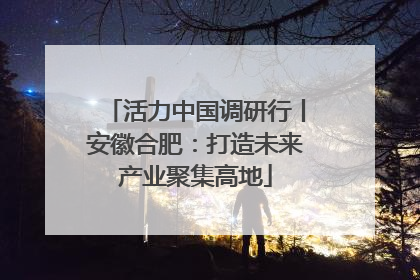 活力中国调研行丨安徽合肥：打造未来产业聚集高地