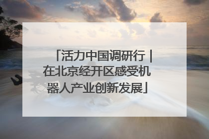 活力中国调研行｜在北京经开区感受机器人产业创新发展