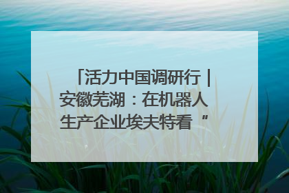 活力中国调研行｜安徽芜湖：在机器人生产企业埃夫特看“中国智造”