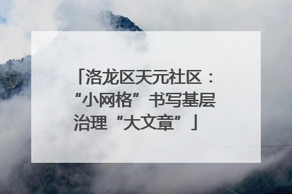 洛龙区天元社区：“小网格”书写基层治理“大文章”