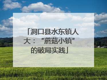 洞口县水东镇人大：“蘑菇小镇”的破局实践