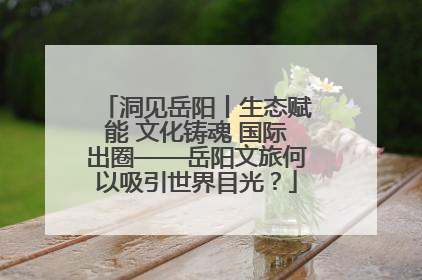 洞见岳阳丨生态赋能 文化铸魂 国际出圈——岳阳文旅何以吸引世界目光？