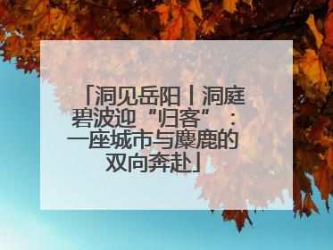 洞见岳阳丨洞庭碧波迎“归客”：一座城市与麋鹿的双向奔赴