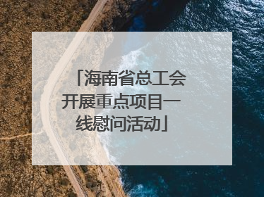 海南省总工会开展重点项目一线慰问活动