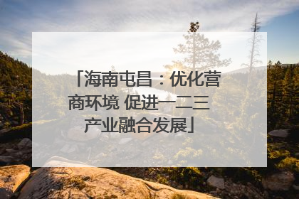 海南屯昌：优化营商环境 促进一二三产业融合发展