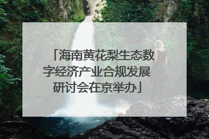 海南黄花梨生态数字经济产业合规发展研讨会在京举办