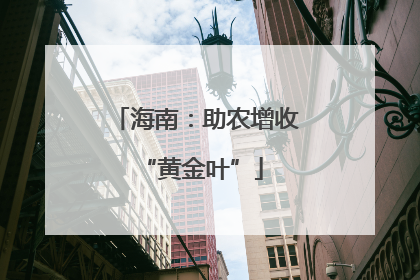 海南：助农增收 “黄金叶”