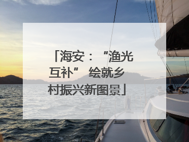 海安：“渔光互补” 绘就乡村振兴新图景