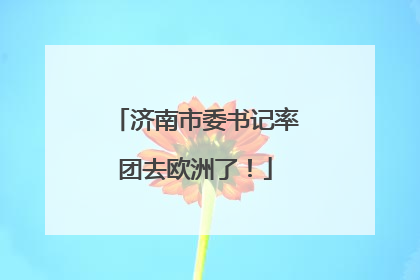 济南市委书记率团去欧洲了！