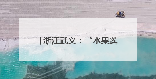 浙江武义：“水果莲”正式上市，莲农增收“致富果”注活力