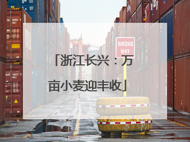浙江长兴：万亩小麦迎丰收