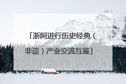 浙阿进行历史经典（非遗）产业交流互鉴