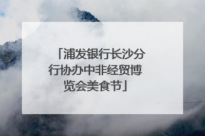 浦发银行长沙分行协办中非经贸博览会美食节