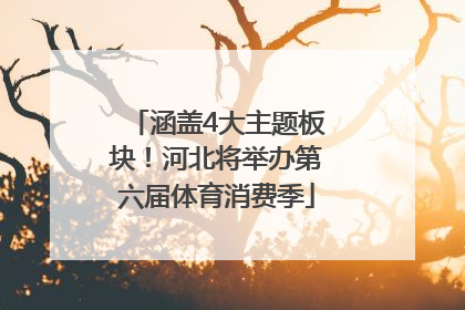 涵盖4大主题板块！河北将举办第六届体育消费季