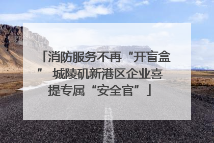 消防服务不再“开盲盒” 城陵矶新港区企业喜提专属“安全官”