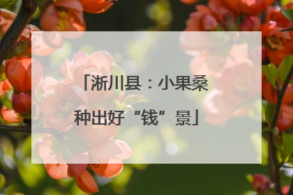 淅川县：小果桑种出好“钱”景