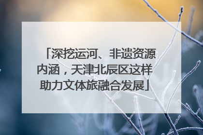 深挖运河、非遗资源内涵，天津北辰区这样助力文体旅融合发展
