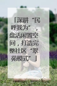 深耕“民呼我为”，盘活闲置空间，打造完整社区“翠苑模式”