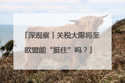 深观察丨关税大限将至欧盟能“挺住”吗？