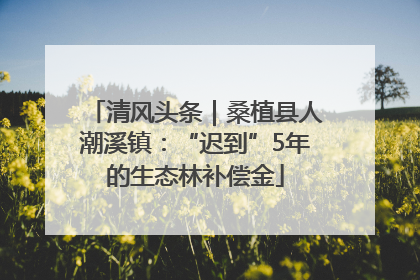 清风头条｜桑植县人潮溪镇：“迟到”5年的生态林补偿金