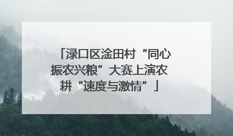 渌口区淦田村“同心振农兴粮”大赛上演农耕“速度与激情”