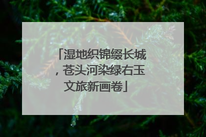 湿地织锦缀长城，苍头河染绿右玉文旅新画卷