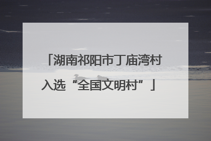 湖南祁阳市丁庙湾村入选“全国文明村”