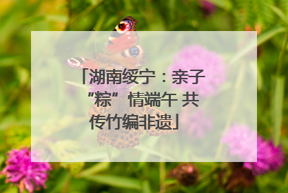 湖南绥宁：亲子“粽”情端午 共传竹编非遗