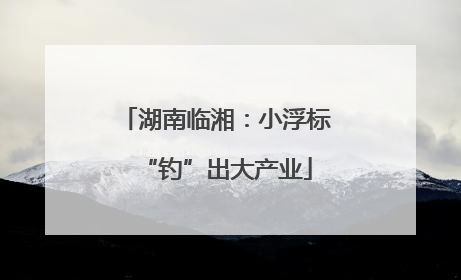 湖南临湘：小浮标“钓”出大产业