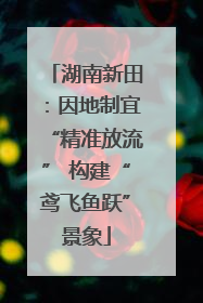 湖南新田：因地制宜“精准放流” 构建“鸢飞鱼跃”景象
