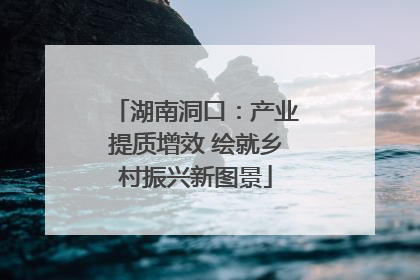 湖南洞口：产业提质增效 绘就乡村振兴新图景