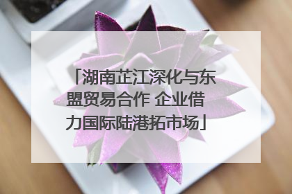 湖南芷江深化与东盟贸易合作 企业借力国际陆港拓市场