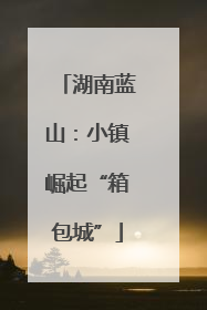 湖南蓝山：小镇崛起“箱包城”